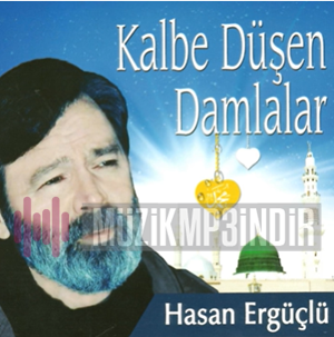 دانلود آلبوم Kalbe Düşen Damlalar (2020) از Hasan Ergüçlü