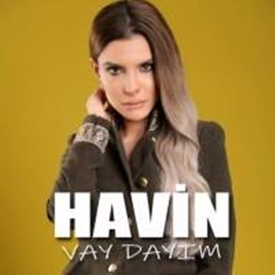 دانلود آلبوم Vay Dayım (2020) از Havin