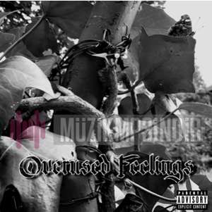 دانلود آلبوم Overused Feelings (2022) از Hawenus