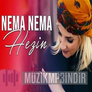 دانلود آلبوم Nema Nema (2022) از Hezin
