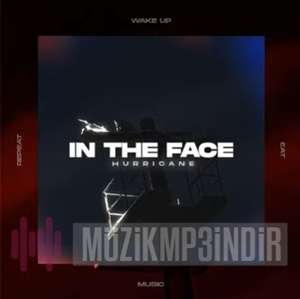 دانلود آلبوم In The Face (2022) از Hurricane