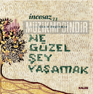 دانلود آلبوم Ne Güzel Şey Yaşamak (2023) از İncesaz