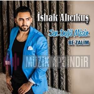 دانلود آلبوم Sen Değil Misin (2017) از İshak Alıcıkuş