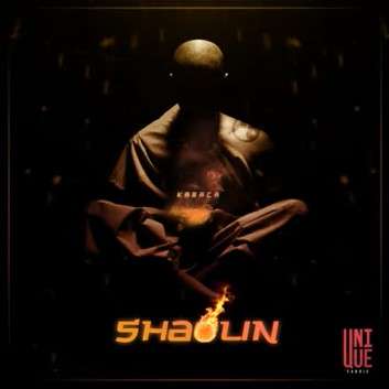 دانلود آلبوم Shaolin (2022) از Karaca