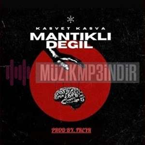 دانلود آلبوم Mantıklı Değil (2023) از Kasvet Kasva