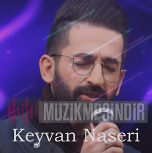 دانلود آلبوم Yarım Gelmedi (2023) از Keyvan Naseri