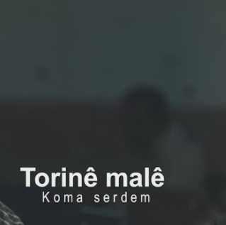 دانلود آلبوم Torine Male (2020) از Koma Serdem