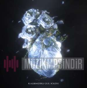 دانلود آلبوم Kalbimdeki Gül Soldu (2022) از Lekic