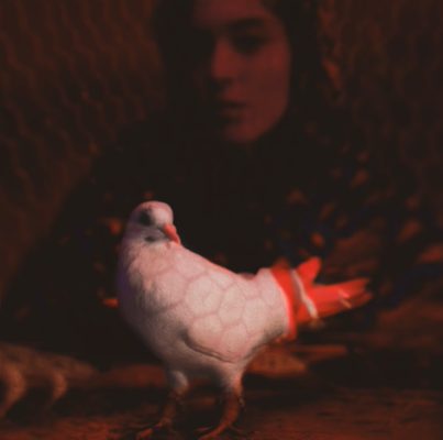 دانلود آلبوم Zor (2020) از Lil Zey