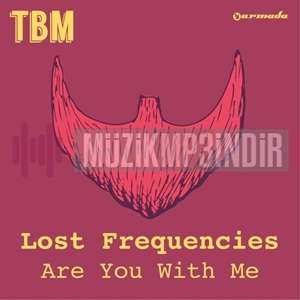 دانلود آلبوم Are You With Me (2015) از Lost Frequencies
