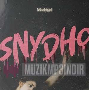 دانلود آلبوم Sen ya da Hiç (2024) از Madrigal