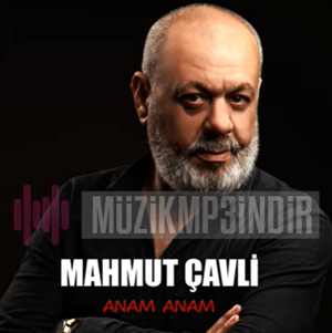 دانلود آلبوم Anam Anam (2023) از Mahmut Çavli