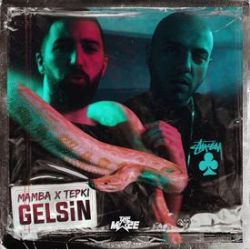 دانلود آلبوم Gelsin (2021) از Mamba