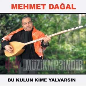دانلود آلبوم Bu Kulun Kime Yalvarsın (2022) از Mehmet Dağal