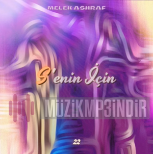 دانلود آلبوم Senin İçin (2023) از Melek Ashraf