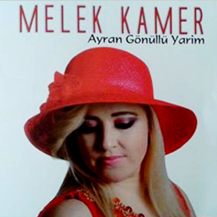 دانلود آلبوم Ayran Gönüllü Yarim (2016) از Melek Kamer