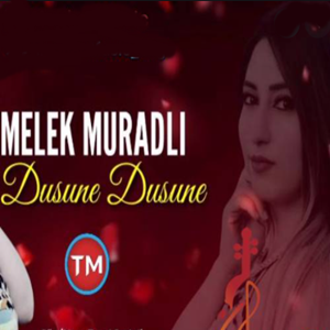 دانلود آلبوم Düşüne Düşüne (2021) از Melek Muradli