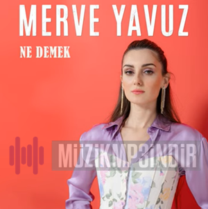 دانلود آلبوم Ne Demek (2023) از Merve Yavuz