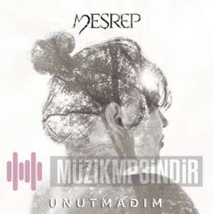 دانلود آلبوم Unutmadım (2022) از Meşrep