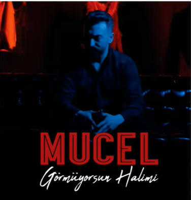 دانلود آلبوم Görmüyorsun Halimi (2021) از Mucel