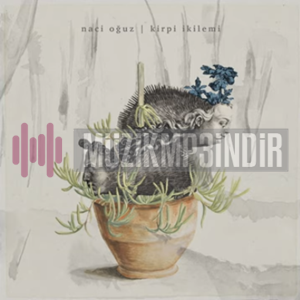 دانلود آلبوم Kirpi İkilemi (2024) از Naci Oğuz