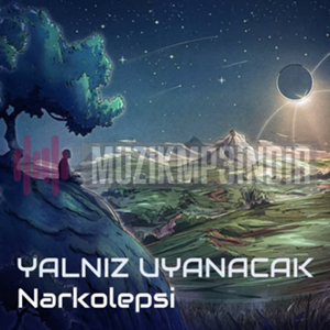 دانلود آلبوم Yalnız Uyanacak (2024) از Narkolepsi