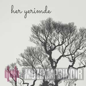 دانلود آلبوم Her Yerimde (2022) از Narkozone
