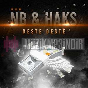 دانلود آلبوم Deste Deste (2022) از NB