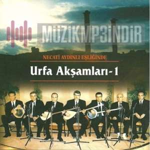 دانلود آلبوم Urfa Akşamları 1 (2017) از Necati Aydınlı
