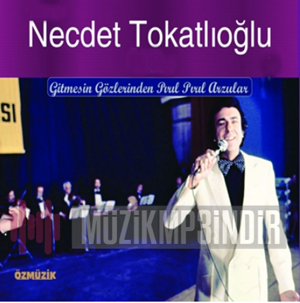 دانلود آلبوم Gitmesin Gözlerinden Pırıl Pırıl Arzular (1987) از Necdet Tokatlıoğlu