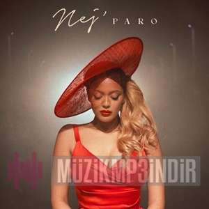 دانلود آلبوم Paro (2022) از NEJ