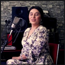 دانلود آلبوم Sonsuz Sevgi (2021) از Nermin