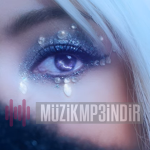 دانلود آلبوم Şimşekler (2024) از Niji