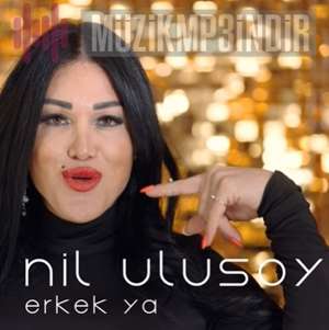 دانلود آلبوم Erkek Ya (2022) از Nil Ulusoy