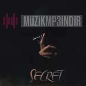 دانلود آلبوم Secret (2023) از Nima Mahmoodi