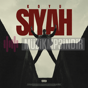 دانلود آلبوم Koyu Siyah (2024) از No.1