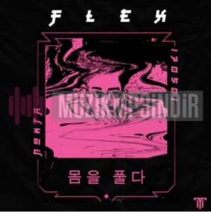 دانلود آلبوم Flex (2022) از Nokta