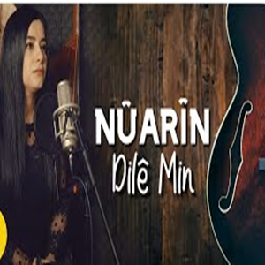 دانلود آلبوم Dile Min (2021) از Nuarin