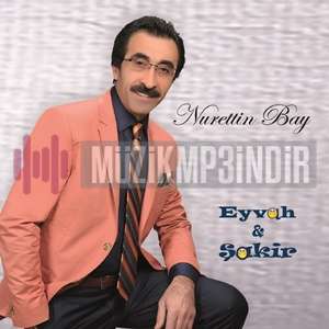 دانلود آلبوم Eyvah Şakir (2015) از Nurettin Bay