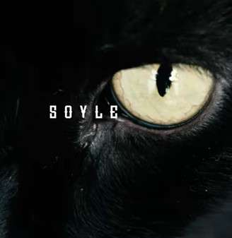 دانلود آلبوم Söyle (2022) از Olvi