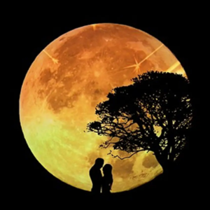 دانلود آلبوم More Beatiful Than The Moon (2020) از Only Notes