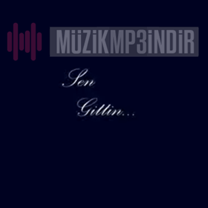 دانلود آلبوم Sen Gittin (2023) از Ozanferyat