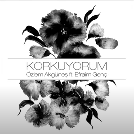 دانلود آلبوم Korkuyorum (2018) از Özlem Akgüneş