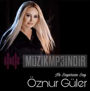دانلود آلبوم Ne Sayarsan Say (2022) از Öznur Güler