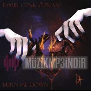 دانلود آلبوم Burn Me Down (2022) از Pamir Cenk Özkan