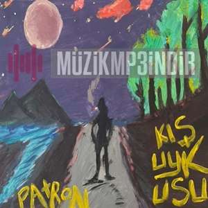 دانلود آلبوم Kış Uykusu (2022) از Patron
