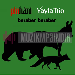دانلود آلبوم Beraber Beraber (2023) از Pinhani