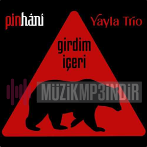 دانلود آلبوم Girdim İçeri (2023) از Pinhani