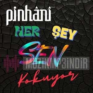 دانلود آلبوم Her Şey Sen Kokuyor (2024) از Pinhani
