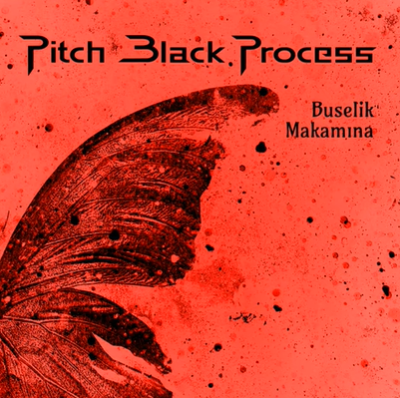 دانلود آلبوم Buselik Makamına (2020) از Pitch Black Process